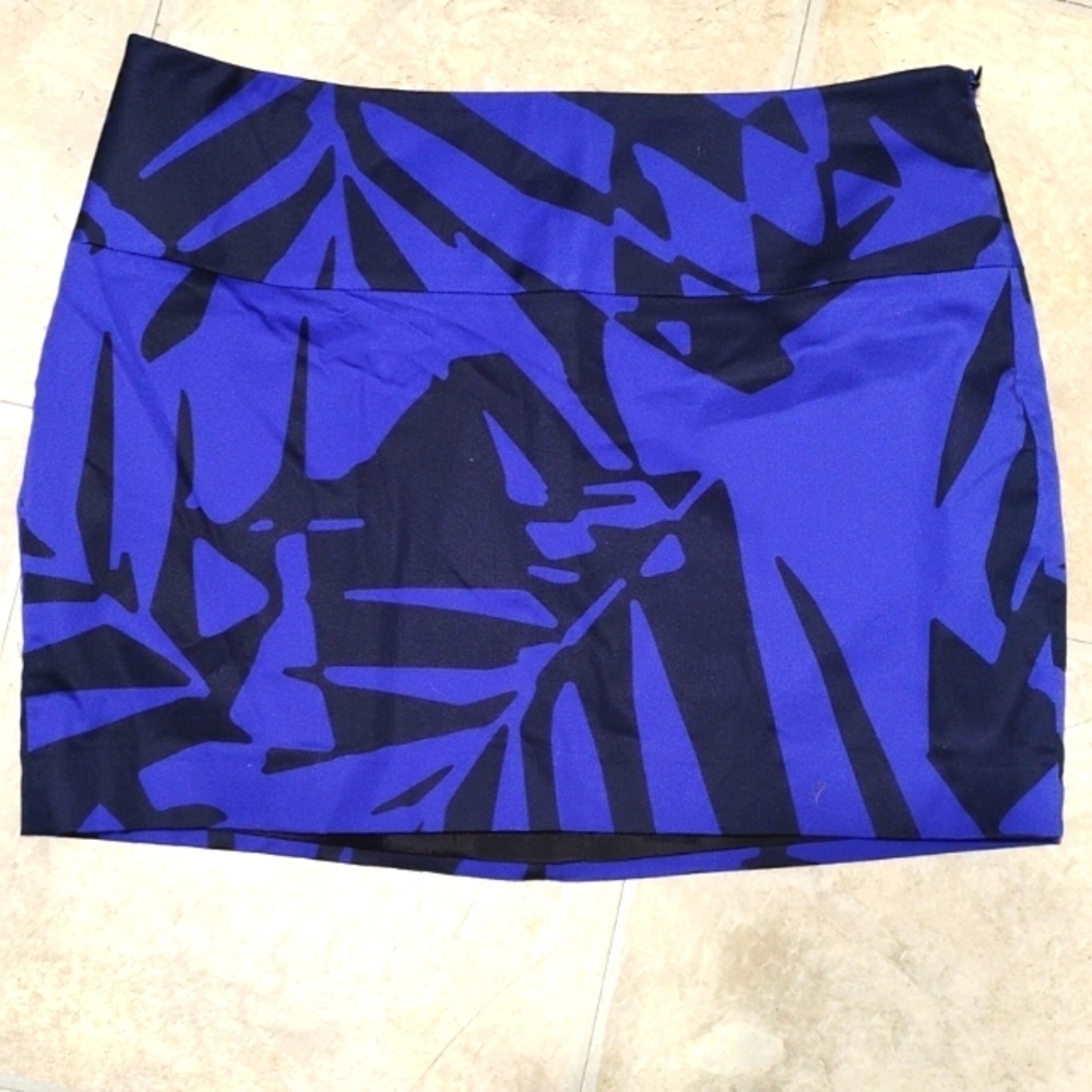 Express mini skirt